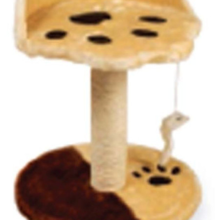 ΟΝΥΧΟΔΡΟΜΙΟ ΜΕ ΚΑΘΙΣΜΑ 30Χ30