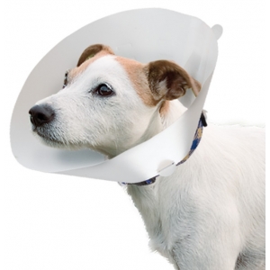 ΕΛΙΣΣΑΒΕΤΙΑΝΟ ΚΟΛΛΑΡΟ 10cm