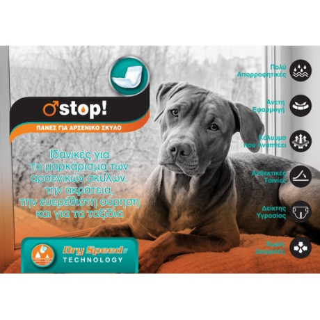 96322 - DIAPERS FOR MALE DOGS STOP LARGE 815*205mm 8pcs PET CAMELOT - Pet shop Petsite.gr - Pet Camelot
