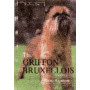 GRIFFON BRUXELLOIS