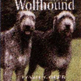 IRISH WOLFHOUND