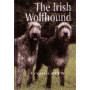 IRISH WOLFHOUND