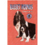 BASSET HOUNDS