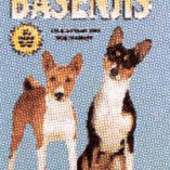 BASENJIS