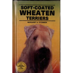 SOFT COATED WHEATEN TERRIERS
