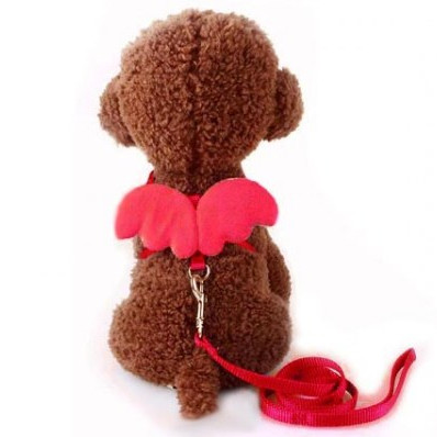 ΣΑΜΑΡΑΚΙ ΣΚΥΛΟΥ MD ANGEL CLASSIC & ΟΔΗΓΟΣ