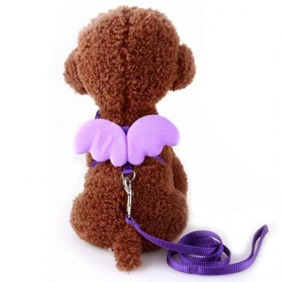 ΣΑΜΑΡΑΚΙ ΣΚΥΛΟΥ SM ANGEL CLASSIC & ΟΔΗΓΟΣ