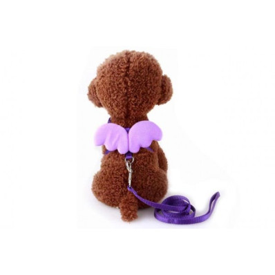 ΣΑΜΑΡΑΚΙ ΣΚΥΛΟΥ SM ANGEL CLASSIC & ΟΔΗΓΟΣ