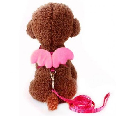 ΣΑΜΑΡΑΚΙ ΣΚΥΛΟΥ XS ANGEL CLASSIC & ΟΔΗΓΟΣ