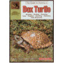 TURTLES-BOX