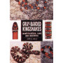 KINGSNAKES- GRAY BANDED