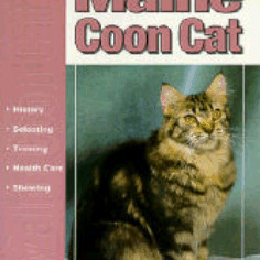 MAINE COON CAT GUIDE TO OWNING