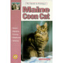 MAINE COON CAT GUIDE TO OWNING