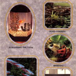 OUR FIRST AQUARIUM - STEP BY STEP