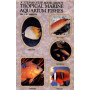 TROPICAL MARINE AQUARIUM FISHES