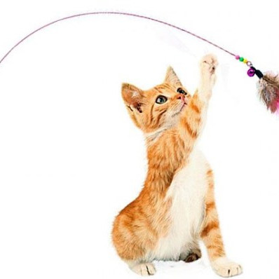 Παιχνίδι γάτας καλάμι Wings με φτερά και κουδουνάκι 100cm VALUE IMPORTS 