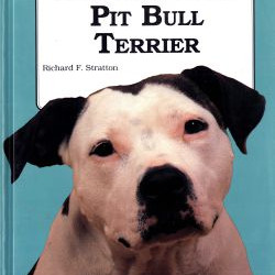 AMERICAN PIT BULL TERRIER