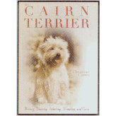 CAIRN TERRIER