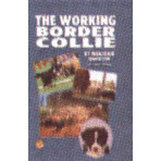 BORDER COLLIE THE WORKING