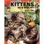KITTENS AS A NEW PET