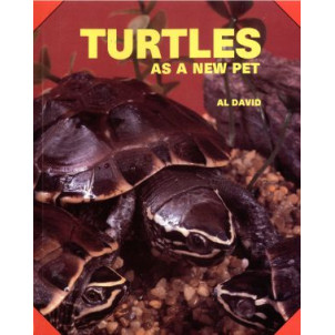 TURTLES AS A NEW PET