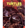TURTLES AS A NEW PET