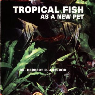 TROPICAL FISH AS A NEW PET