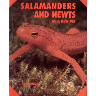 SALAMANDERS AND NEWTS AS A NEW PET