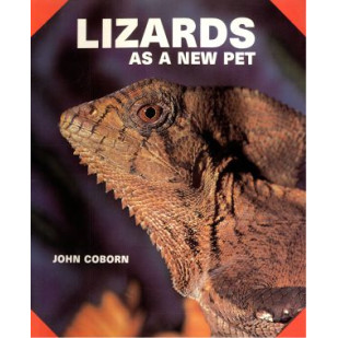 LIZARDS AS A NEW PET