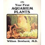 YOUR FIRST AQUARIUM PLANT