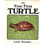 YOUR FIRST TURTLE