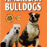 AMERICAN BULLDOGS