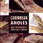 ANOLES, CARRIBEAN