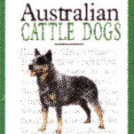 AUSTRALIAN CATTLE DOGS