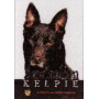 AUSTRALIAN KELPIE