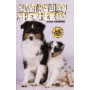AUSTRALIAN SHEPERDS