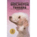 BEDLINGTON TERRIERS