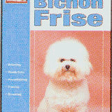 BICHON FRISE, GUIDE TO OWNING