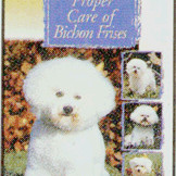BICHON FRISE PROPER CARE OF