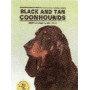 BLACK AND TAN COONHOUNDS