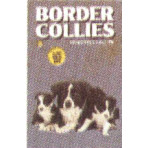 BORDER COLLIES