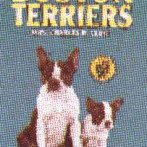 BOSTON TERRIERS