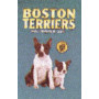 BOSTON TERRIERS
