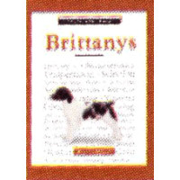 BRITTANY'S, A NEW OWNER'S GUID