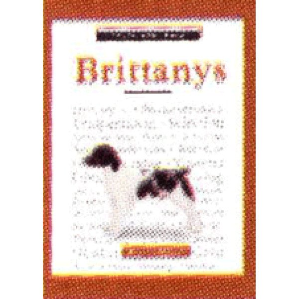 BRITTANYS, A NEW OWNERS GUID