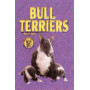 BULL TERRIERS