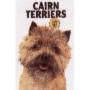 CAIRN TERRIERS