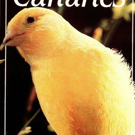 CANARIES