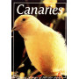 CANARIES