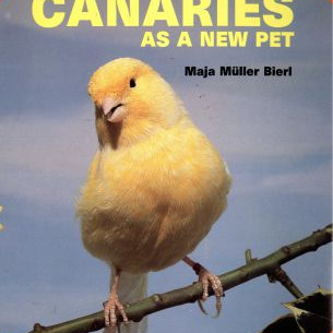CANARIES AS A NEW PET